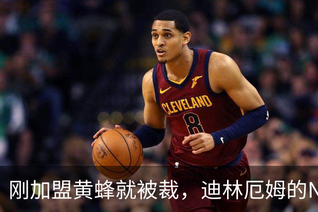 刚加盟黄蜂就被裁，迪林厄姆的NBA冒险如同坐过山车！