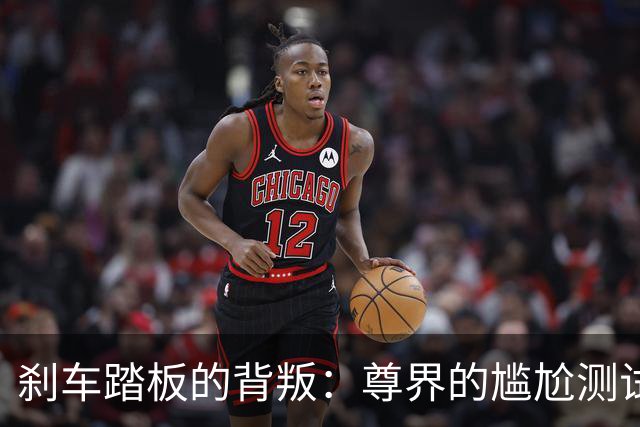 刹车踏板的背叛：尊界的尴尬测试与隐秘秘密